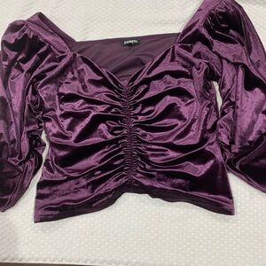 Express Women's Deep Purple Velvet Blouse